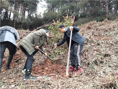 滚球手机注册-滚球（中国）
植树节